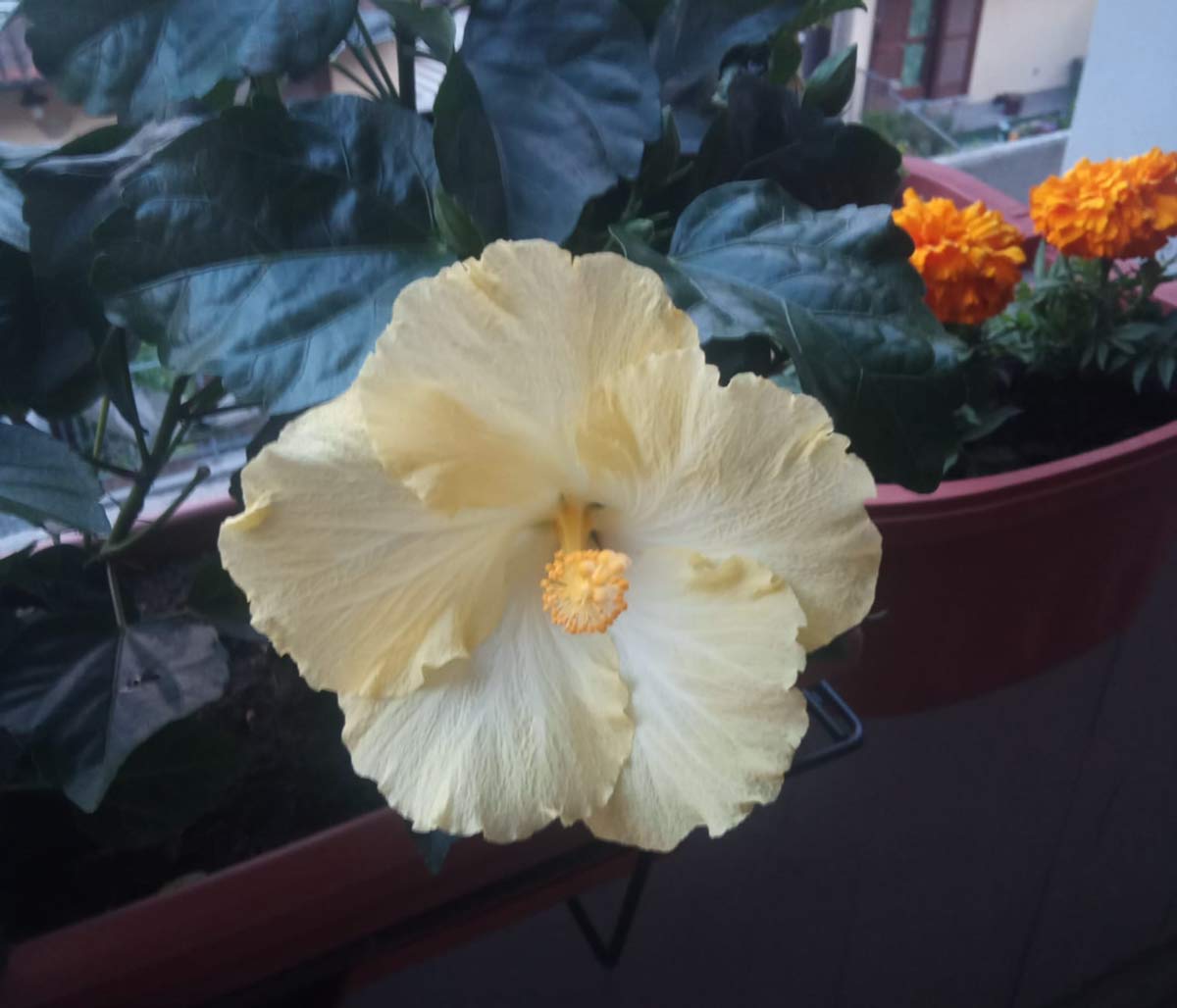 foto2