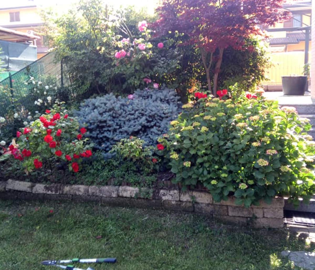 foto3