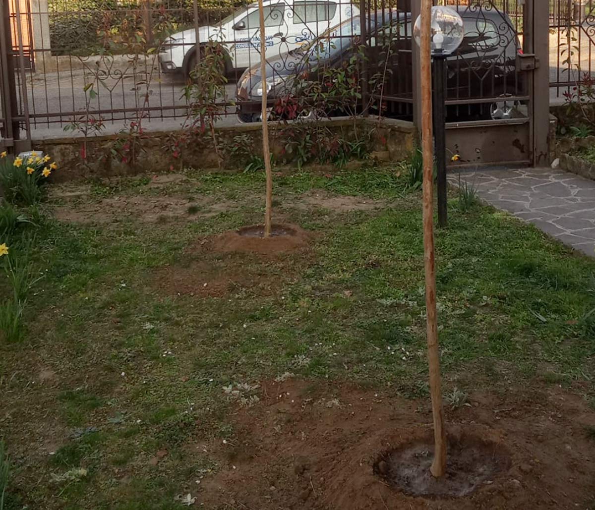 foto8